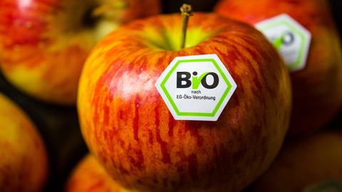 Das sechseckige Logo des deutschen Bio-Siegels klebt auf einem roten Apfel. Auf dem Siegel steht: Nach EU-Öko-Verordnung.