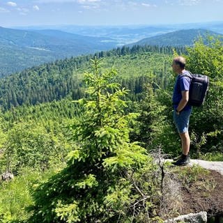 Ein Wanderer steht im Böhzmerwald auf einem Felsen und schaut über die Landschaft